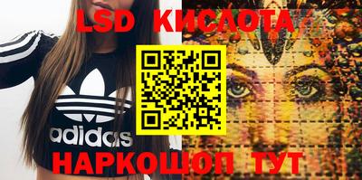 гашик Новодвинск