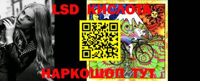 гашик Новодвинск