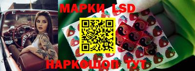 эйфоретик Нарткала