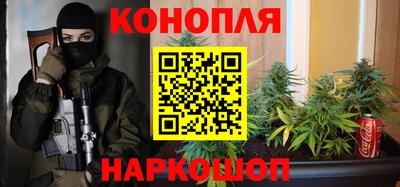 гашик Новодвинск