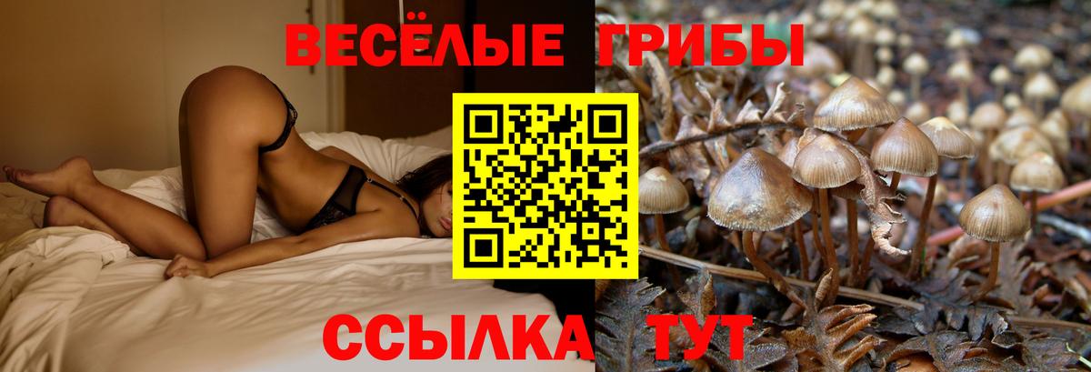Галлюциногенные грибы Psilocybine cubensis  Вход с VPN  Псилоцибиновые грибы Magic Shrooms  Тимашёвск 